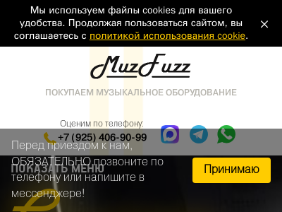 MuzFuzz